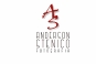 Logo Anderson Stenico Fotografia 